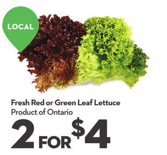 Longo's Fresh red or green leaf lettuce offer