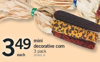 Fortinos Mini decorative corn, 3 pack offer
