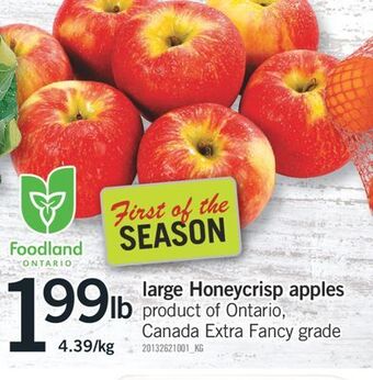 Fortinos Foodland ontario large honeycrisp apples offer