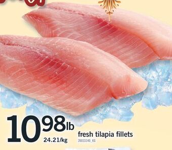 Fortinos Fresh tilapia fillets offer