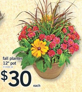 Fortinos Planter 12 pot offer