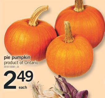 Fortinos Pie pumpkin offer