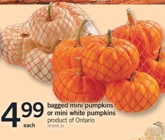 Fortinos Bagged mini pumpkins or mini white pumpkins offer