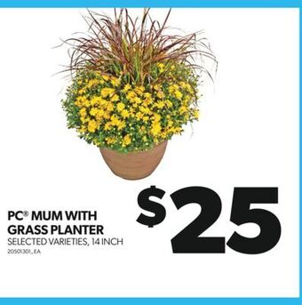 Real Canadian Superstore Pc mum with grass planter, 14 inch offer