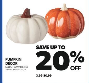 Real Canadian Superstore Pumpkin décor offer