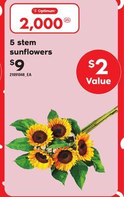 Loblaws 5 stem sunflowers offer
