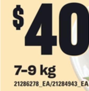 Loblaws Pc butter-infused or butterball regular frozen turkeys, 7-9 kg offer