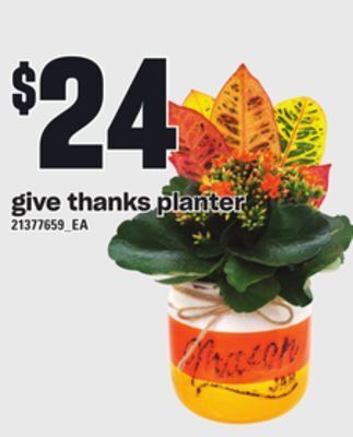 Loblaws Give thanks planter offer
