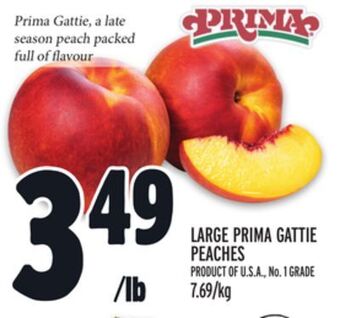 Metro Large prima gattie peaches offer