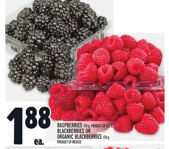 Metro Raspberries offer