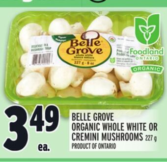 Metro Belle grove organic whole white or cremini mushrooms offer