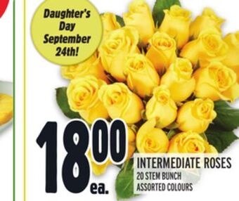 Metro Intermediate roses offer
