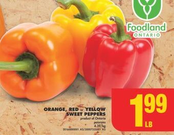 No Frills Orange, red or yellow sweet peppers offer