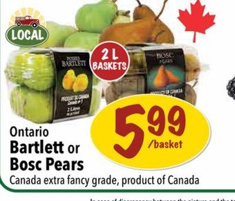Farm Boy Bartlett or bosc pears offer