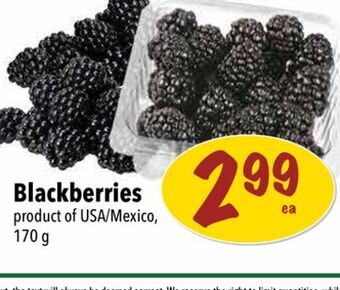 Farm Boy Blackberries offer