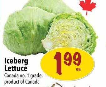 Farm Boy Iceberg lettuce offer