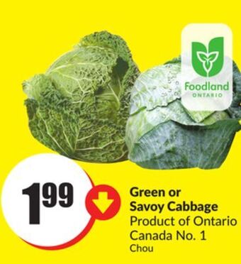 Chalo FreshCo Green or savoy cabbage product of ontario canada no. 1 offer