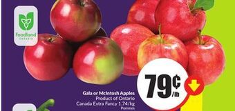 Chalo FreshCo Gala or mcintosh apples product of ontario canada extra fancy 1.74/kg offer