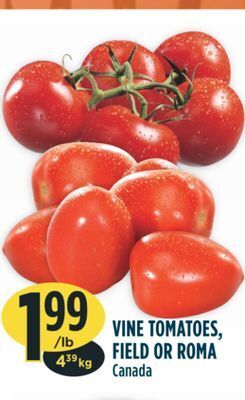 Marché Adonis Vine tomatoes, field or roma offer