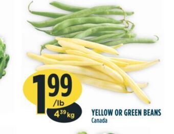Marché Adonis Yellow or green beans offer