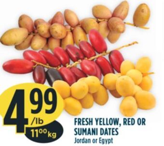 Marché Adonis Fresh yellow, red or sumani dates offer