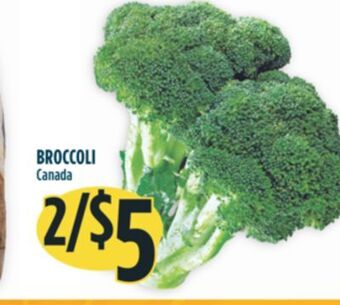 Marché Adonis Broccoli offer