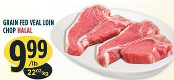 Marché Adonis Grain fed veal loin chop halal offer