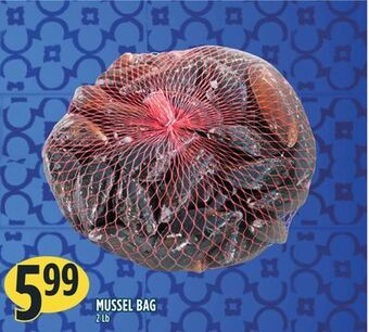 Marché Adonis Mussel bag offer