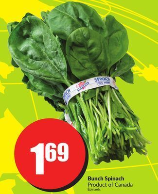 Chalo FreshCo Bunch spinach product of canada offer