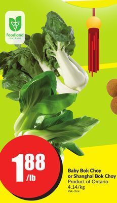 FreshCo Baby bok choy or shanghai bok choy product of ontario 4.14/kg offer