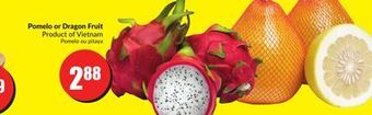 FreshCo Pomelo or dragon fruit product of vietnam offer