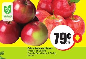 FreshCo Gala or mclntosh apples product of ontario canada extra fancy 1.74/kg offer
