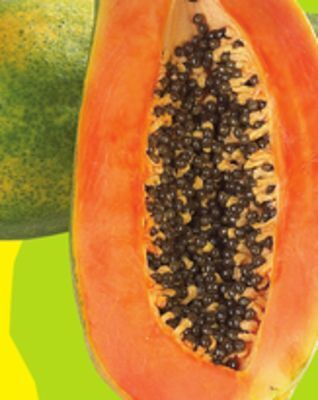 FreshCo Papaya product of mexico offer