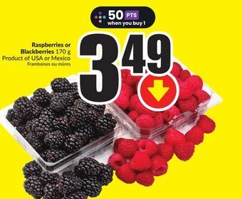 FreshCo Raspberries or blackberries 170 g product of usa or mexico offer