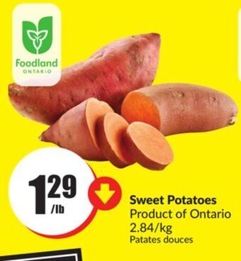 FreshCo Sweet potatoes product of ontario 2.84/kg offer