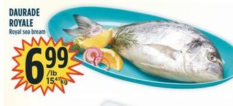 Marché Adonis Daurade royale offer