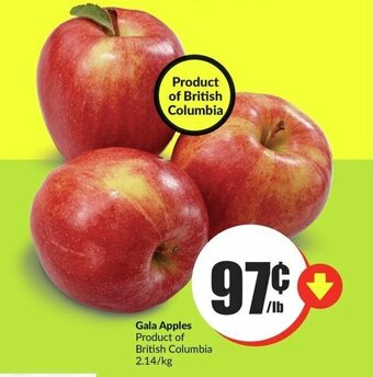 FreshCo Gala Apples Product of British Columbia 2.14/kg offer
