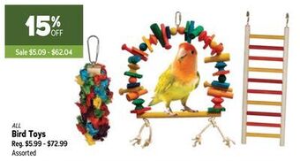 Ren’s Pets Depot Bird toys offer