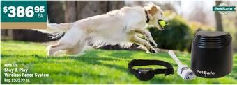 Ren’s Pets Depot Petsafe stay & play wireless fence system offer