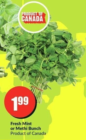 FreshCo Fresh Mint or Methi Bunch offer