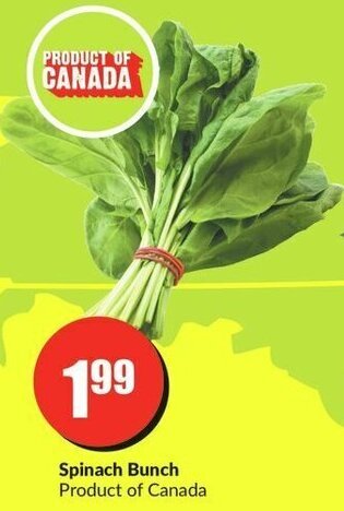 FreshCo Spinach Bunch offer