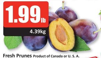 Starsky Fresh prunes offer