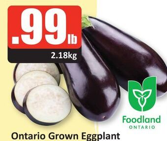 Starsky Ontario grown eggplant offer
