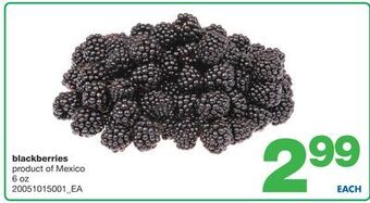 Wholesale Club Blackberries, 6 oz offer