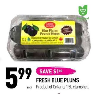Coppa's Fresh Market Fresh blue plums offer