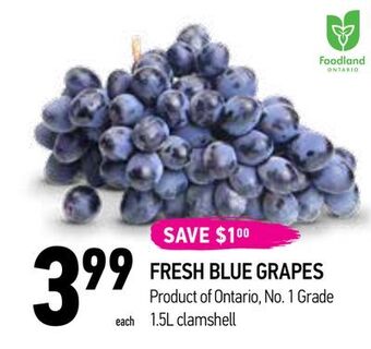 Coppa's Fresh Market Fresh blue grapes offer