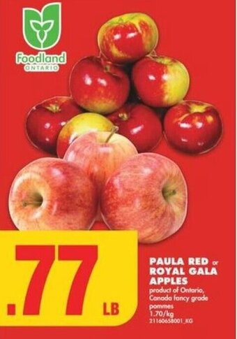 No Frills PAULA RED or ROYAL GALA APPLES offer