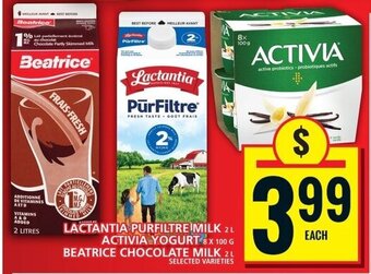 Food Basics LACTANTIA PURFILTRE MILK 2L, ACTIVIA YOGURT 8 X 100G, BEATRICE CHOCOLATE MILK 2L offer