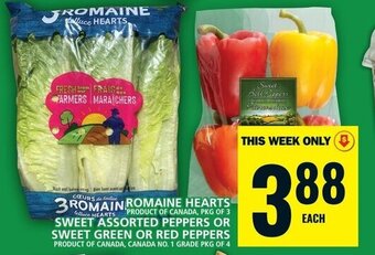 Food Basics ROMAINE HEARTS, SWEET ASSORTED PEPPERS OR SWEET GREEN OR RED PEPPERS offer