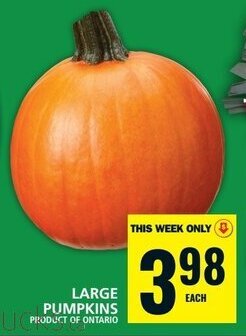Food Basics LARGE PUMPKINS offer